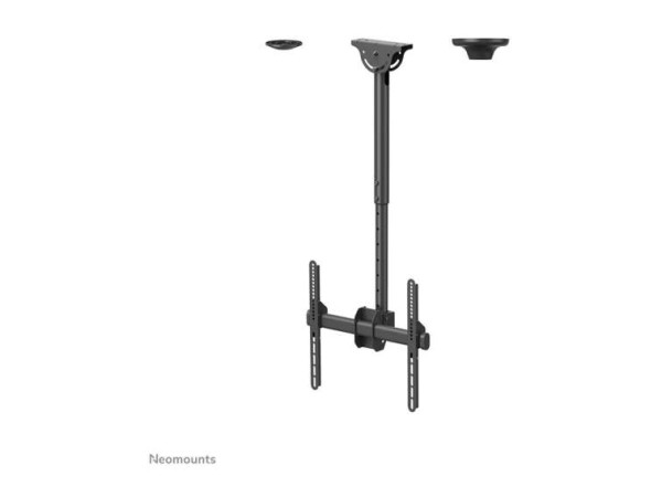 NEOMOUNTS Deckenhalterung für Flachbildschirme/Fernseher bis 60" (152 cm) NM-C440BLACK