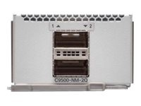 CISCO SYSTEMS CISCO SYSTEMS Catalyst 9500 2x40GE Network Module
