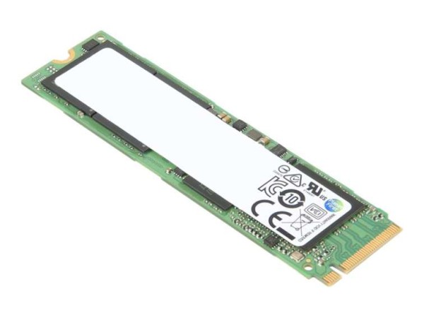 LENOVO ThinkPad Performance 1TB 4XB1D04757