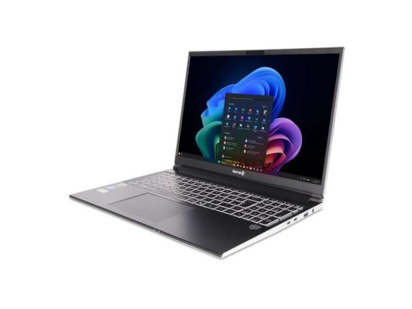 TERRA MOBILE GAMER ELITE 3A 40,6cm (16") R7 Ai 350 32GB 1TB W11 1220878