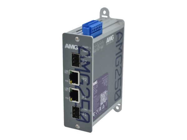 AMG SYSTEMS AMG SYSTEMS Medienkonverter AMG AMG250-2FAT-2S-P60 retail