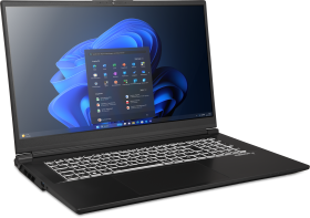 EXONE EXONE go Expert 1730 X14 43,9cm (17,3") i7-14700HX 16GB 1TB W11P