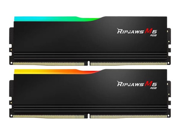 G.SKILL G.SKILL F5-6400J3239F48GX2-RM5RK 96GB Kit (2x48GB)