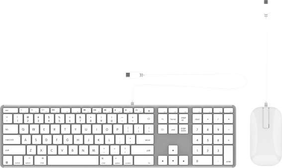 ZAGG Wired USB-C Combo: Tastatur & Maus Apple silber 103218535