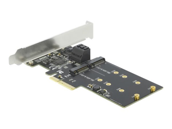 DELOCK DELOCK 3 Port SATA und 2 Slot M.2 Key B PCI Express x4 Karte - Low Profile Formfaktor