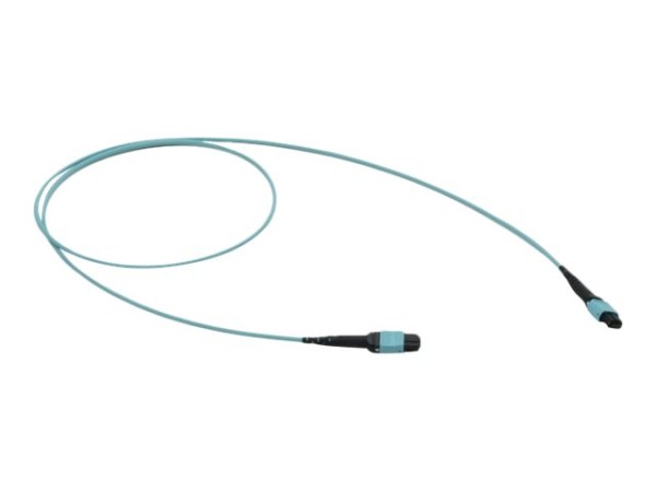 APC APC Fibre Optic Cable 50 M Mtp
