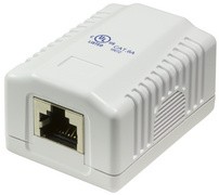 LogiLink Anschlussdose Kat.6A mit Aufputzbox, 2x RJ45, STP