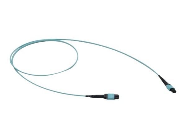 APC APC Fibre Optic Cable 50 M Mtp