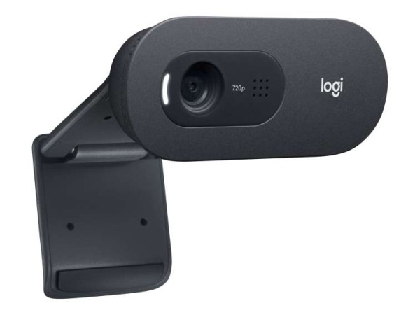 LOGITECH C505e HD Webcam BLK WW 960-001372