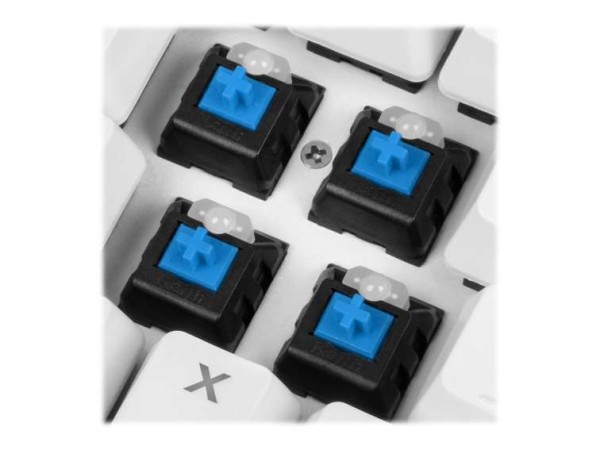 SHARKOON SGK3 wh Kailh Blue US 4044951032174