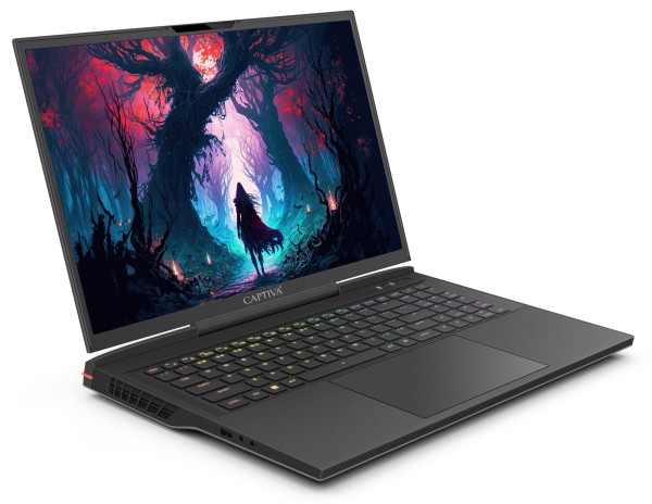 CAPTIVA Highend Gaming I81-514 43,9cm (17,3") i9-14900HX 64GB 2TB W11 81514