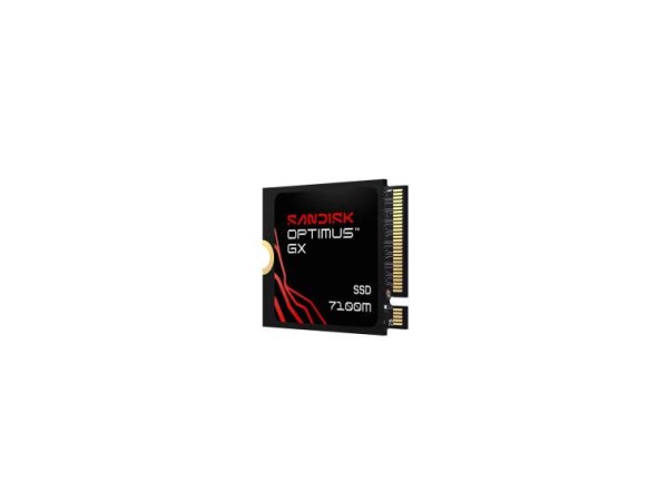 SANDISK Optimus GX 7100M 1TB SDSP71100TAT-000E0
