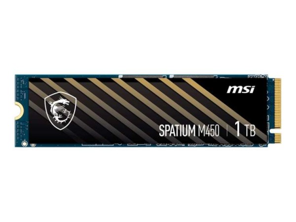 MSI Spatium M450 1TB S78-440L0M0-P83