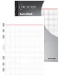 CHRONOPLAN Karo Blatt, Midi, 25 Blatt, 80 g/qm