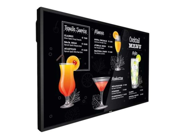 PHILIPS 43BDL3117P/00 109,22cm (43") 43BDL3117P/00
