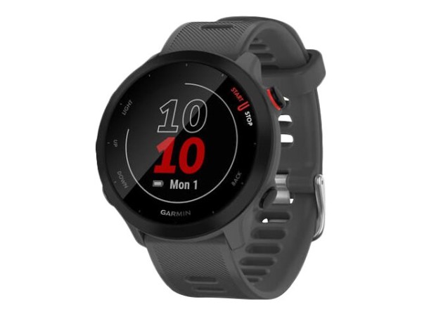 GARMIN GARMIN 010-02562-13 Smartwatch 42 mm MIP Grau GPS (010-02562-13)