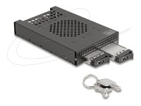 DELOCK DELOCK 3.5 Wechselrahmen für 2 x M.2 NVMe SSD Slim SFF-8654 DELOCK DELOCK 3.5 Wechselrahmen für 2 x M.2 NVMe SSD Slim SFF-8654
