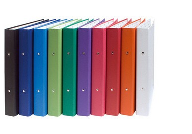 EXACOMPTA Ringbuch, 2-Ring-Mechanik, DIN A4, farbig sortiert