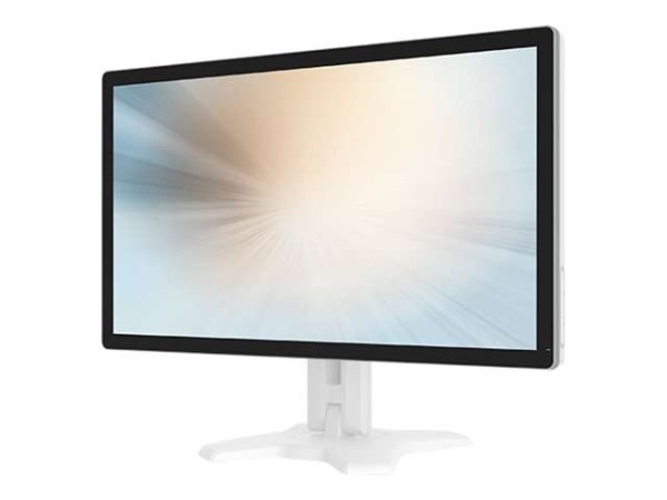 MICROTOUCH DESKTOP MEDICAL 61cm (24") DT-238P-M1