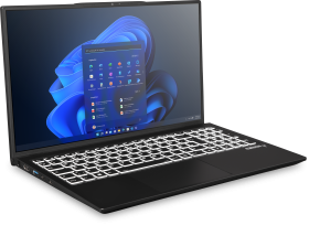 EXONE EXONE go Premico 1780 X12 43,9cm (17,3") i7-1260P 8GB 250GB W11P
