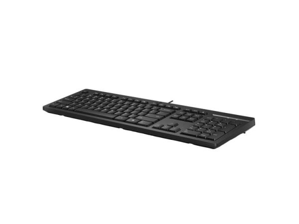 HP 125 USB WD KBD Bulk 12 (DE) 266C9A6#ABD