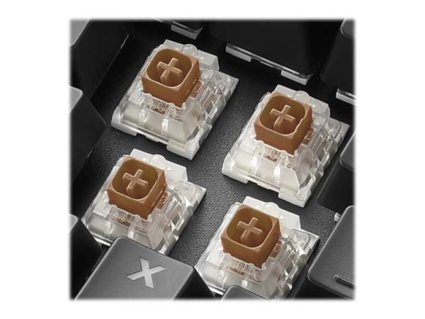 SHARKOON SGK60 Kailh BOX BROWN IT 4044951033546