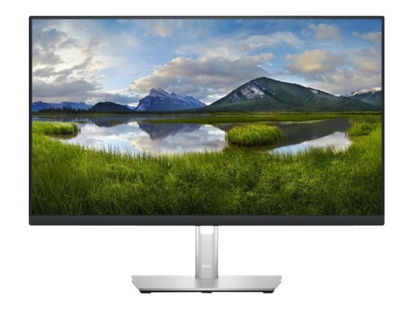 DELL 24 USB-C Hub P2423DE -60,5cm (23,8") DELL-P2423DE