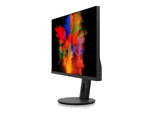 FUJITSU FUJITSU P2711 TS QHD 68,5cm (27")