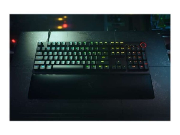 RAZER Keyboard Usb Qwerty Us RZ03-03932300-R3M1