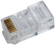 LogiLink RJ45 Stecker für Flachbandkabel, ungeschirmt