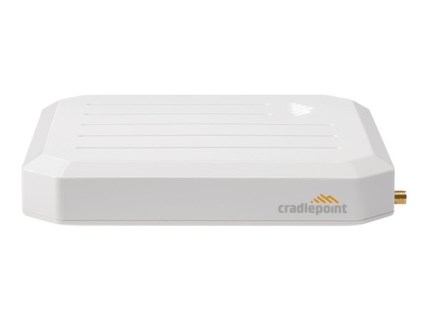 CRADLEPOINT 3-yr NetCloud Branch LTE Adapter Essent