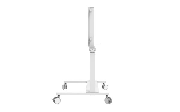 CELEXON 1000026507 106cm (42") - 254cm (100") 1000026507