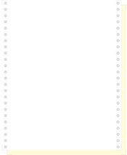 EXACOMPTA Computerpapier endlos, 240 mm x 12" (30,48 cm)
